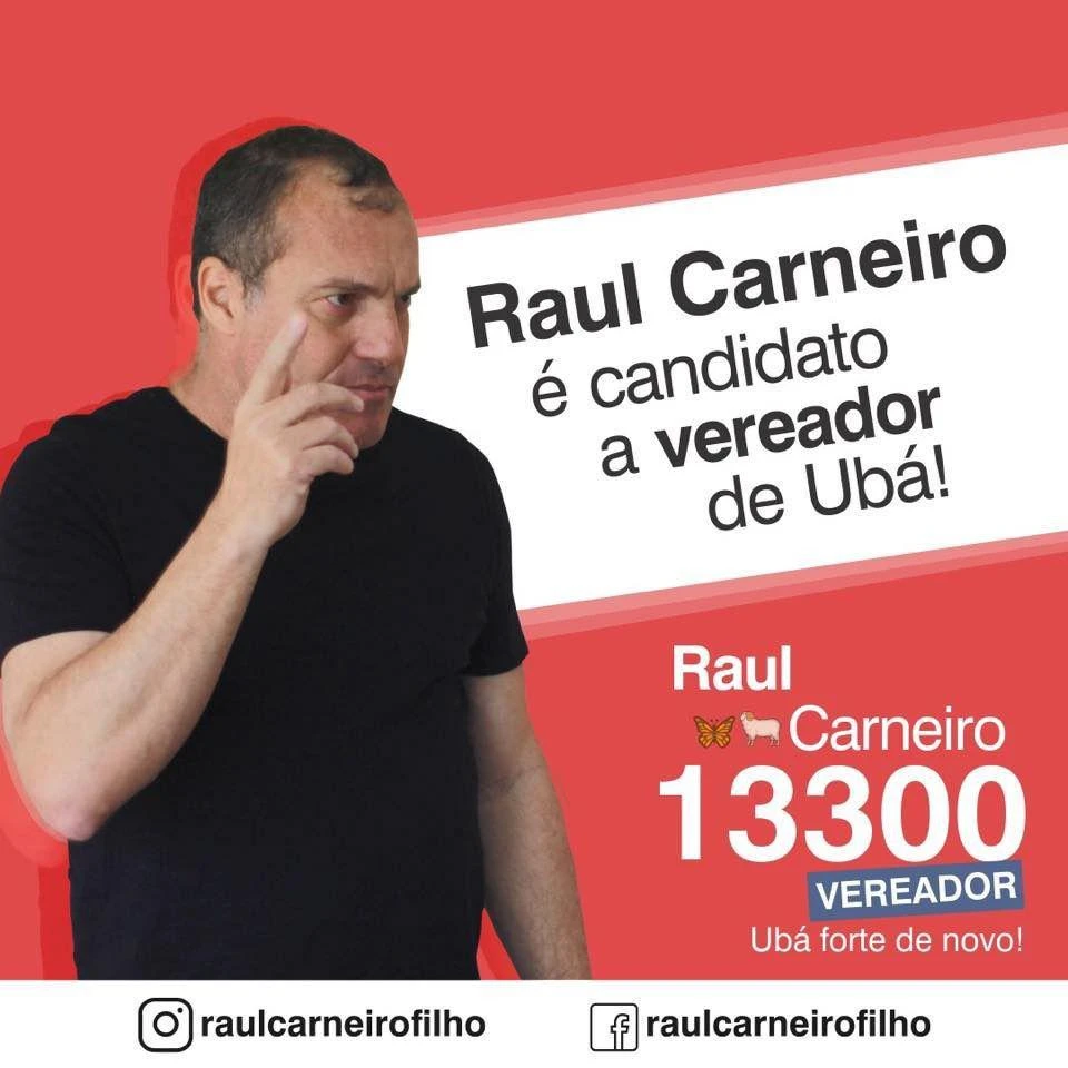 RAUL CARNEIRO - 13300 - PT